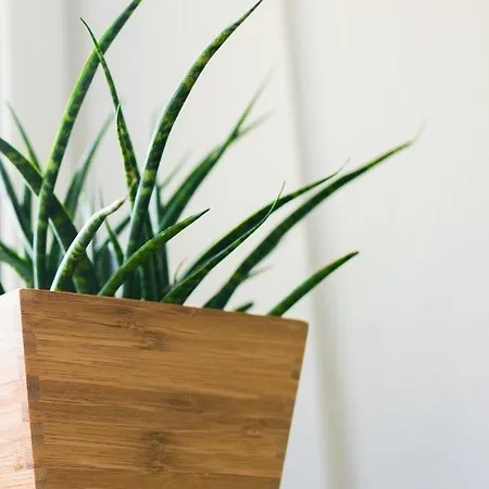 Keller L 12f דירה